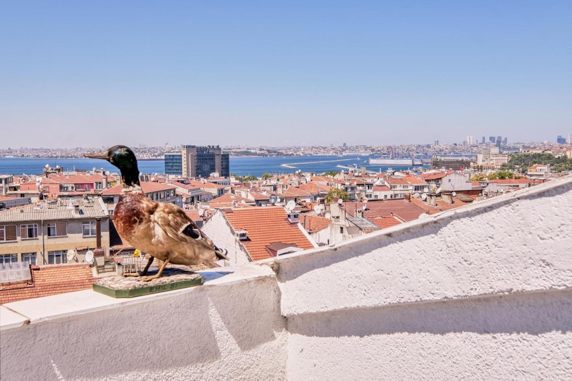 Duck Otel Istanbul Exteriör bild